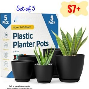 Plant Pots - 5 Pack