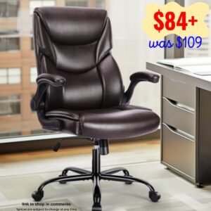 Ergonomic Desk Chairs