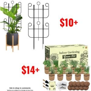 Garden Planter Indoor Kit | 2 Pack Trellis for Climbing Plants