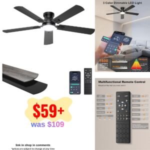 Ceiling Fans with Lights