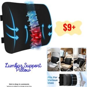 Lumbar Support Pillow