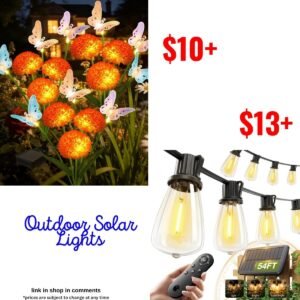 Outdoor solar lights