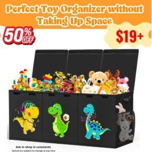 Collapsible Toy Chest