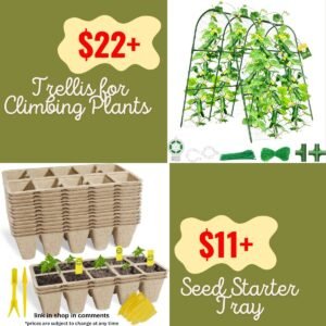 Trellis for Climbing Plants | Seed Starter Tray