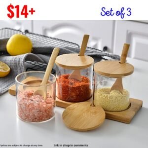 Set of 3 Condiment Jar