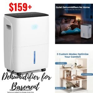Dehumidifier for Basement
