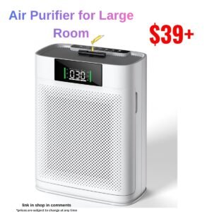Air Purifier for Large Room