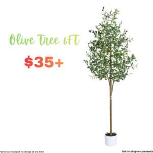 Olive Tree 6FT