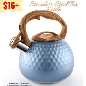 Stainless Steel Tea Kettle