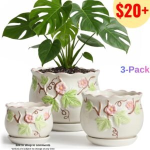 Ceramic Plant Pots