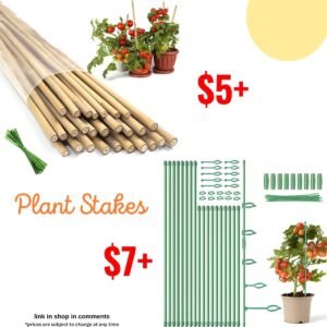 Plant Stakes