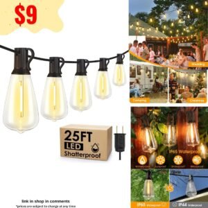 25FT Outdoor String Lights