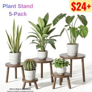 5-Pack Single Plant Stand