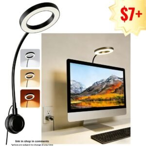 LED Desk Lamp for Computer