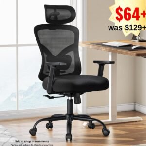 Ergonomic Office Chair