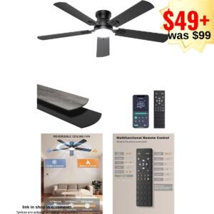 Ceiling Fans with Lights