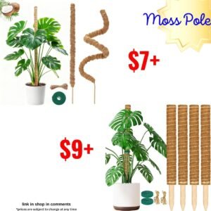 Moss Pole