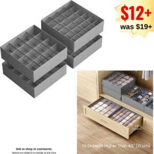 Set of 4 Drawer Organizers