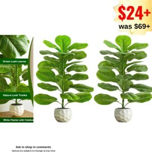 2 Pack Artificial Fiddle Leaf Fig Tree
