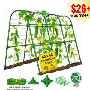 48x48 Cucumber Trellis