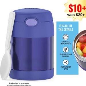 Insulated Food Jar