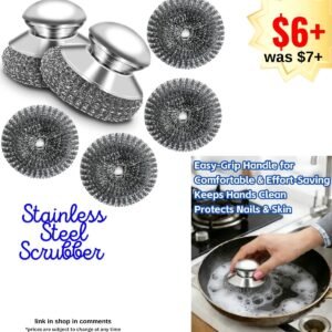 Stainless Steel Scrubber