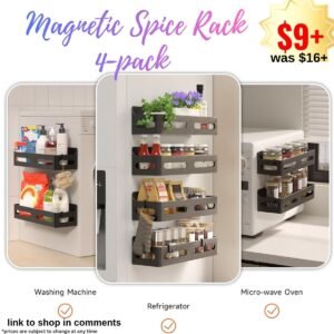 4 Pack Strong Magnetic Spice Rack