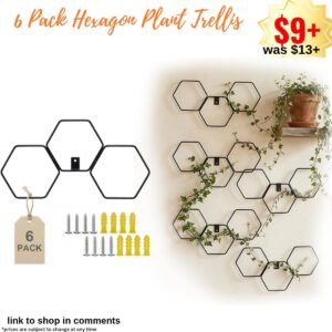 6 Pack Hexagon Plant Trellis
