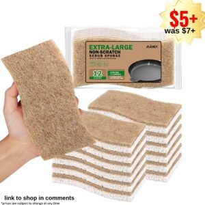 Non-Scratch Dish Sponges