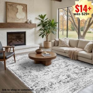 4x6 Area Rugs