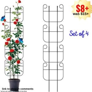 4 Pack Trellis for Climbing Plants