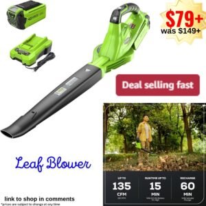 Leaf Blower