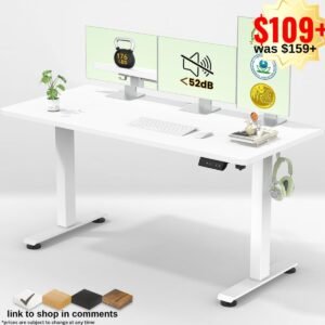 55 Inch Large Electric Standing Desk