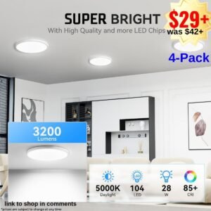LED Flush Mount Ceiling Light