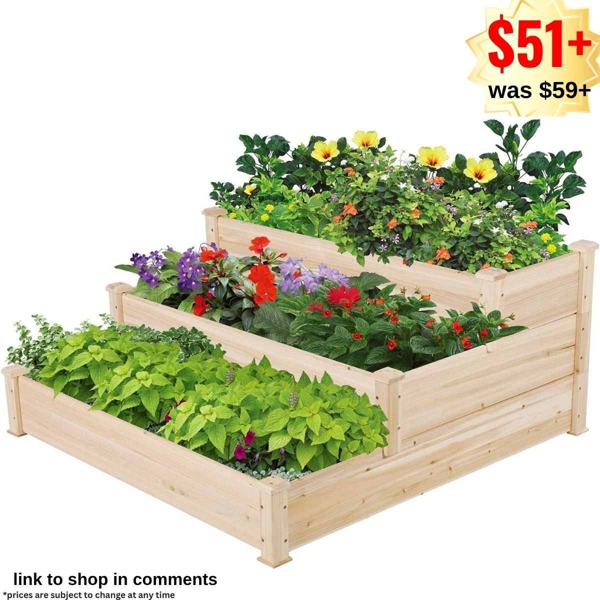 Raised Garden Bed