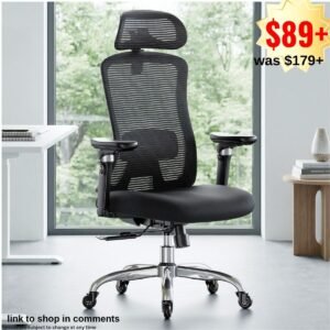 Ergonomic Office Chair