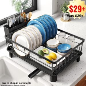 Dish Drying Rack