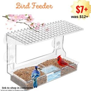 Bird Feeders