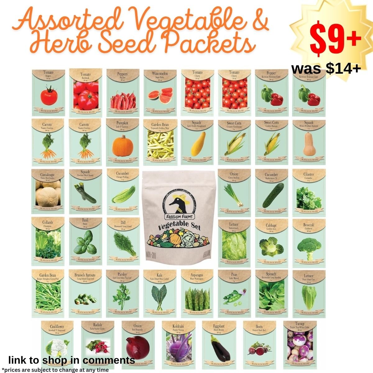Assorted Vegetable & Herb Seed Packets