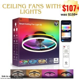 Ceiling Fans with Lights