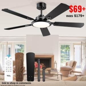 Ceiling Fans with Lights