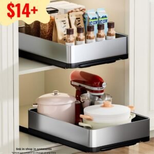 Pull Out Spice Rack Organizer