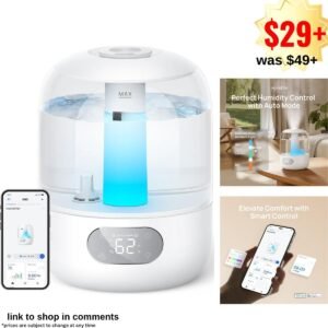 Humidifier