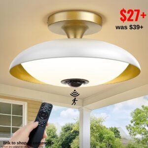 Outdoor Motion Sensor Ceiling Light