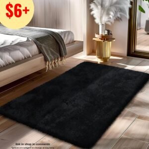 2x4 Area Rug