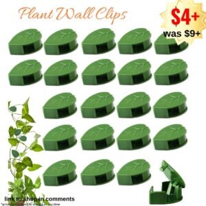 60 pcs Plant Wall Clips