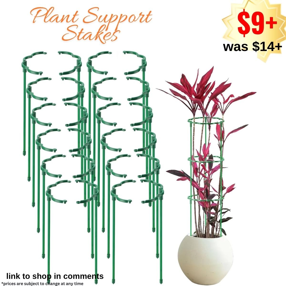 Plant Support Stakes