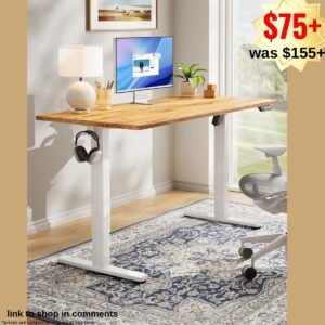 Electric Standing Desk