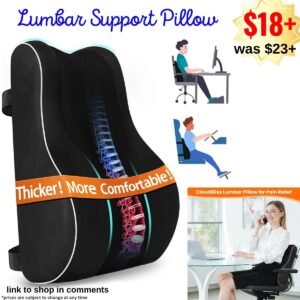 Lumbar Support Pillow