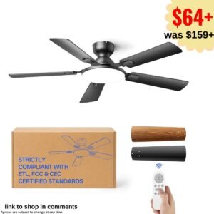 Ceiling Fans with Lights
